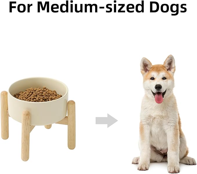 Havniva 6.1inch Ceramic Raised Dog Bowl with Stand, Elevated Dog Bowls for Small and Medium Breed Dog Food and Water Bowl Non-Slip Dog Dish Large Capacity Feeding Pet Water Bowl