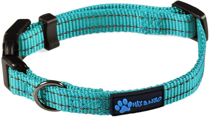 Max and Neo NEO Nylon Buckle Reflective Dog Collar - We Donate a Collar to a Dog Rescue for Every Collar Sold (X-Small, Teal)