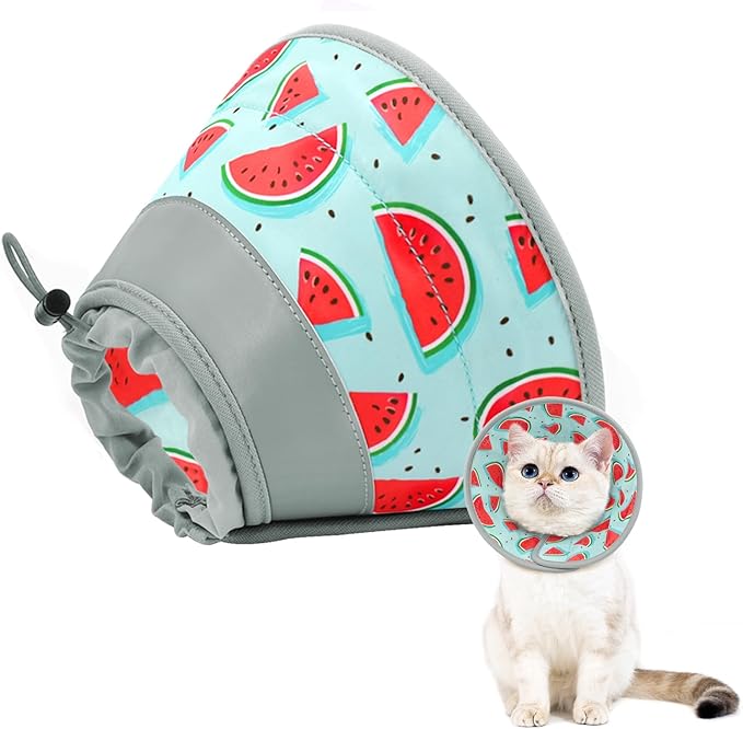 Cat Cone Collar Soft to Stop Licking, Adjustable, Foldable Lightweight Kitten Cones After Surgery Recovery for Cats & Kittens, Cat Cone Alternative, Easy Eating (Blue, M)