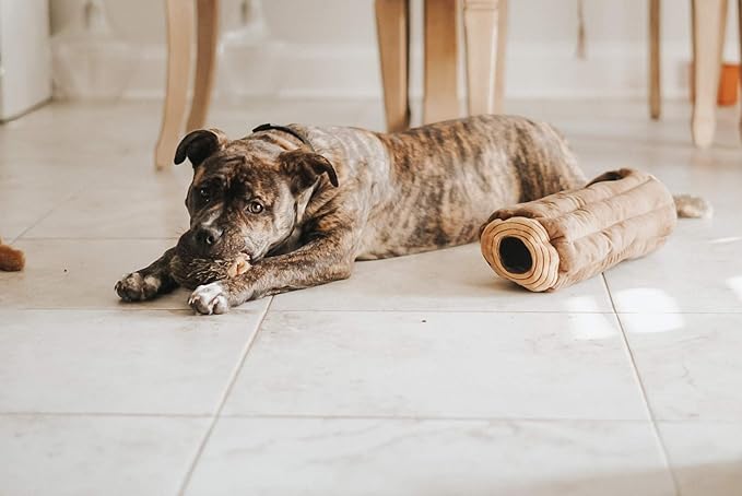 ZippyPaws Burrow- Interactive Dog & Puppy Toys for Boredom, Stimulating Pet Products to Keep them Busy, Hide & Seek Plush Dog Puzzles, Squeaky Toy for Enrichment, For Small & Medium Dogs- Chipmunk Log