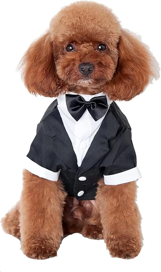 GabeFish Pets Wedding Jackets Suit for Dogs with Bow Tie Puppy Cat Formal Clothes Shirt Tuxedo (Black, XL (Chest 18.8in/48cm)