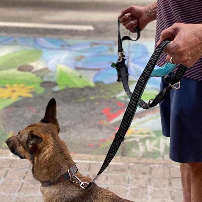Heavy Duty Dog Leash for Large Dogs – 6FT Reflective Bungee with Padded Handles, Strong Carabiner Clip, No Pull Control for Medium & Large Breeds, Includes Poop Bag Holder & Treat Pouch (Orange)