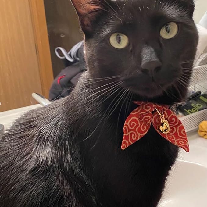 Bunny Ears Cat Collar, Japan Lucky ‘開三運’ Charm. Safety Breakaway Bowtie Kitten Collar with Bell, Red