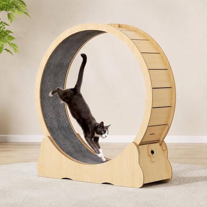 Cat Exercise Wheel for Indoor Cats, 36" Cat Treadmill Wheel with Detachable Carpeted Runway, Natural Solid Wood Sturdy Running Wheel for Running/Training/Walking, Suitable for Most Cats
