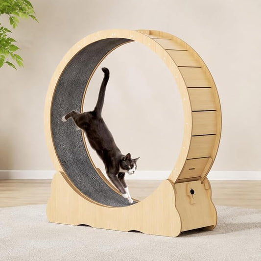 Cat Exercise Wheel for Indoor Cats, 36" Cat Treadmill Wheel with Detachable Carpeted Runway, Natural Solid Wood Sturdy Running Wheel for Running/Training/Walking, Suitable for Most Cats