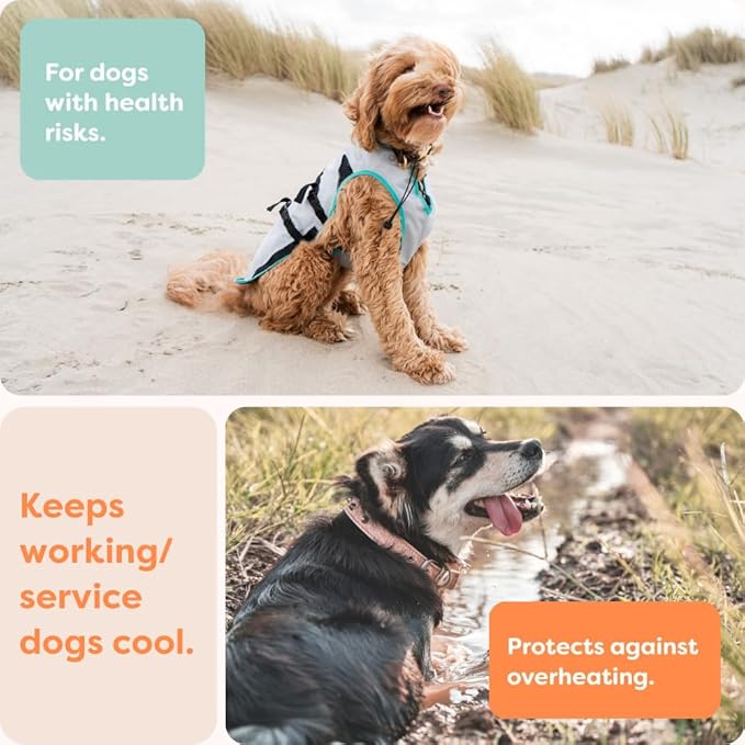 Suitical Dry Cooling Vest for Dogs | Canine Cooling Vest for Hot Weather | Dog Cool Down Jacket | Machine Washable | S | Neck to Tail 14”- 20” | Chest 22-28” Around | Neck Circumference 18” | Silver