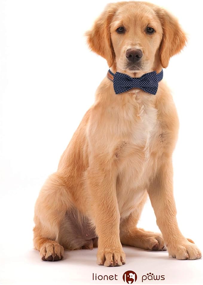 Lionet Paws Boy Dog Collar with Bowtie, Comfortable Adjustable Cute Navy Blue Bow Tie Collar for Male Dogs Gift, Medium, Neck 13.5-22 inches