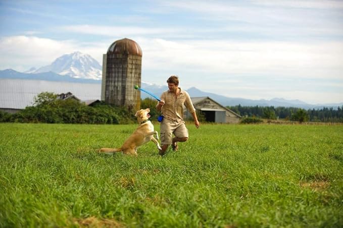 Chuckit! Dog Ball Launcher, Sport 14S - 2PK
