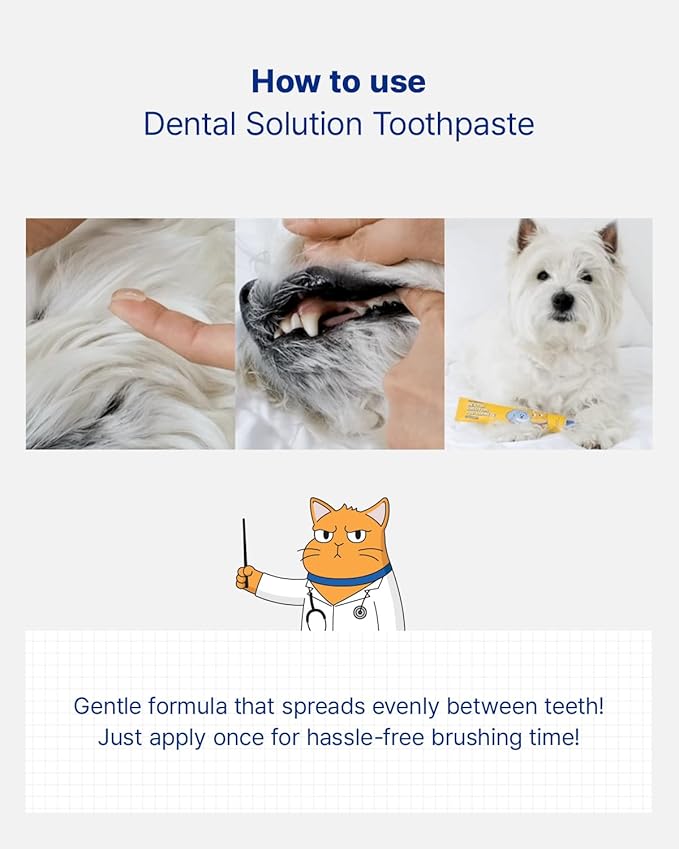PETHROOM Pet Dental Solution Toothpaste for Dogs & Cats – Sweet Potato Flavor, Enzymatic Toothpaste for Fresh Breath & Plaque Control, Gentle Daily Dental Care, Net Wt 2.1 oz