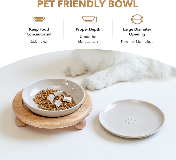 Havniva Cat Bowls Elevated 5.6” Ceramic Cat Bowl with Stand Whisker Friendly Shallow Cat Dishes, Cat Food & Water Bowl Set with Two Heights Options, Anti-Slip Raised Cat Food Bowl for Kitten