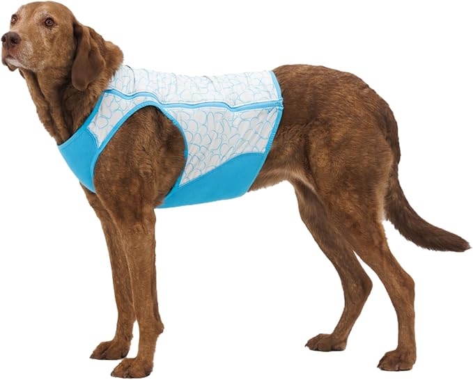 Ruffwear, Swamp Cooler Zip Dog Vest, Evaporative Cooling for Hot Weather, Graphite Gray, XX-Small