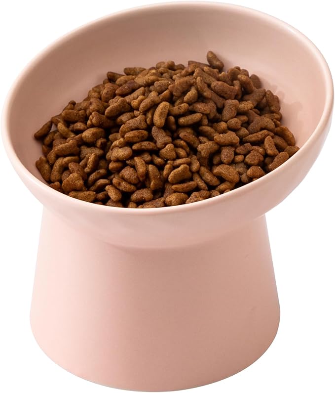 Ceramic Raised Cat Bowls - Elevated Tilted Cat Food and Water Bowls, Anti Vomiting and Protect Pets' Spines Pet Feeding Dish for Cats, Dishwasher Microwave Safe (1 x Bowl - Pink)