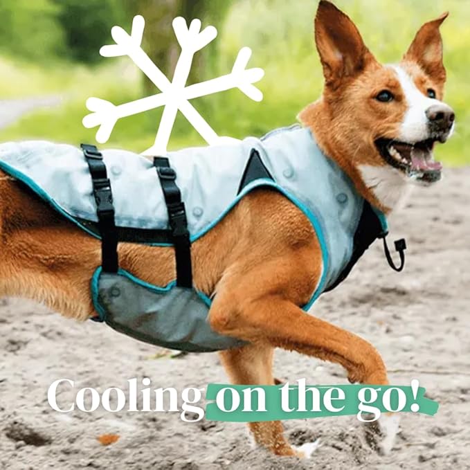Suitical Dry Cooling Vest for Dogs | Canine Cooling Vest for Hot Weather | Dog Cool Down Jacket | Machine Washable | M | Neck to Tail 20”- 24” | Chest 24-32” Around | Neck Circumference 20” | Silver