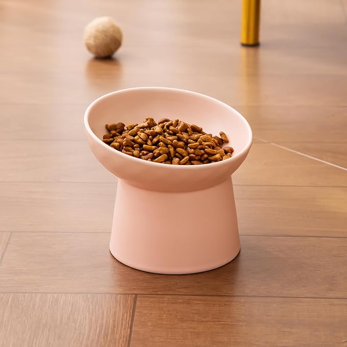 Ceramic Raised Cat Bowls - Elevated Tilted Cat Food and Water Bowls Set, Anti Vomiting and Protect Pets' Spines Pet Feeding Dish for Cats, Dishwasher Microwave Safe (2 x Bowl - Pink)