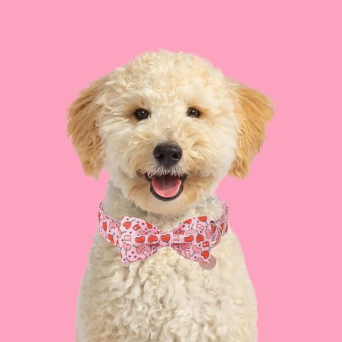 Valentine’s Day Dog Collar with Bow Tie, Pink Heart Bowtie Collar with Metal Buckle, Valentine’s Day Gift Pet Collar for Puppy Girl Boy Dog or Cat, Wedding Dog Collar,XL, Neck 16-26in
