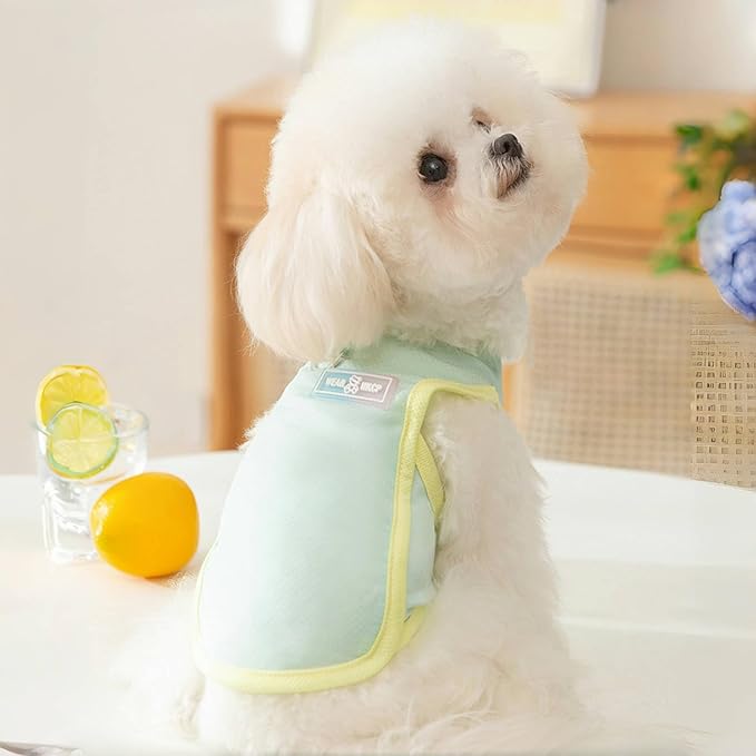 Dog Cooling Vest, Summer Pet T-Shirt, Breathable Quick-Dry Outfit for Dogs and Cats, Blue (Green, Small(3.3-5.5lb))