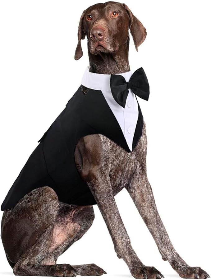 Dog Tuxedo for Large Dogs, Dog Wedding Suit and Bowtie