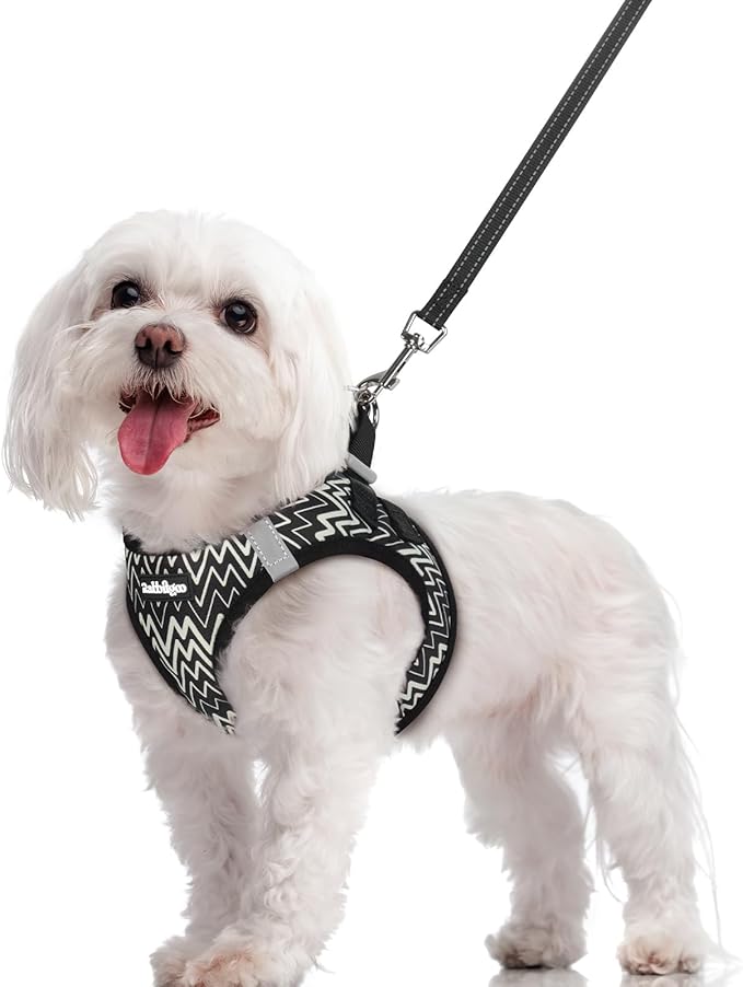 rabbitgoo Dog Harness Small Sized and Leash Set, Step in Soft Light Puppy Vest, Breathable Mesh Pet Harness, Reflective for Safe Easy Walking, Black Zigzag M