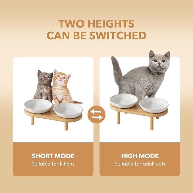 Havniva Elevated Cat Bowls Raised Ceramic Cat Bowl, 5.9” Wide Opening Cat Food Bowl Whisker Friendly Cat Dish Anti-Slip with Bamboo Stand, Shallow Pet Food & Water Bowl for Indoor Cats