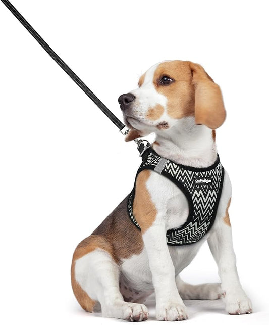 rabbitgoo Dog Harness Small Medium Sized and Leash Set, Step in Soft Light Puppy Vest, Breathable Mesh Pet Harness, Reflective for Safe Easy Walking, Black Zigzag L