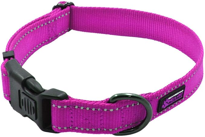 Max and Neo NEO Nylon Buckle Reflective Dog Collar - We Donate a Collar to a Dog Rescue for Every Collar Sold (Small, Pink)