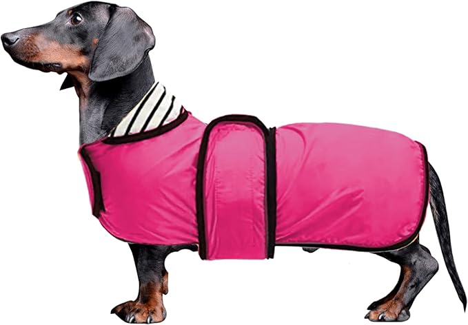 Dachshund Raincoat Corgi Raincoat Dogs Waterproof fit for Dachshunds Weiner Long Back Breeds with Reflective Stripe Great Coverage in Autumn Winter - Pink - XS