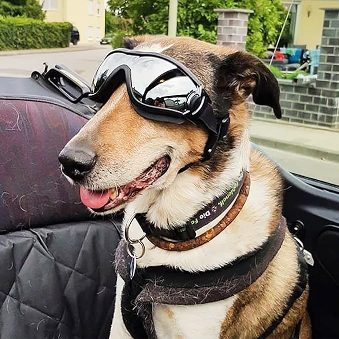 Dog Sunglasses Dog Goggles,UV Protection Wind Protection Dust Protection Snow Protection Fog Protection Pet Glasses Eye Wear Protection with Adjustable Strap for Medium or Large Dog