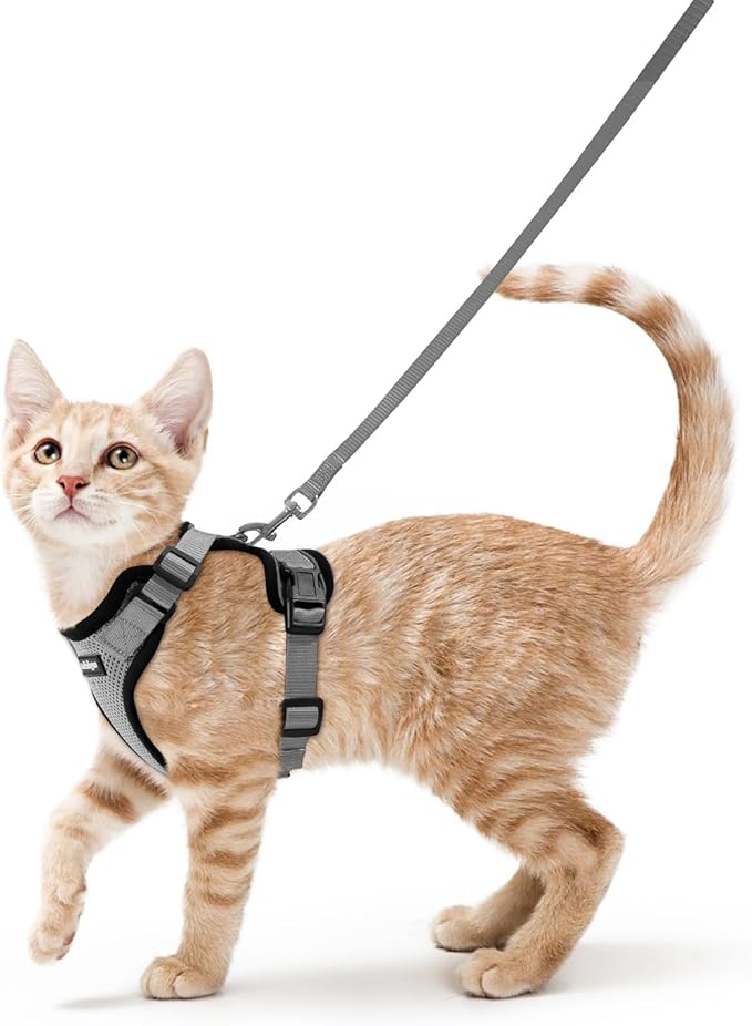 rabbitgoo Cat Harness and Leash Set, Escape Proof Kitten Harness for Safe Outdoor Walks, Soft Breathable Adjustable Vest with Reflective Strips for Kittens and Small Cats, Grey, XS