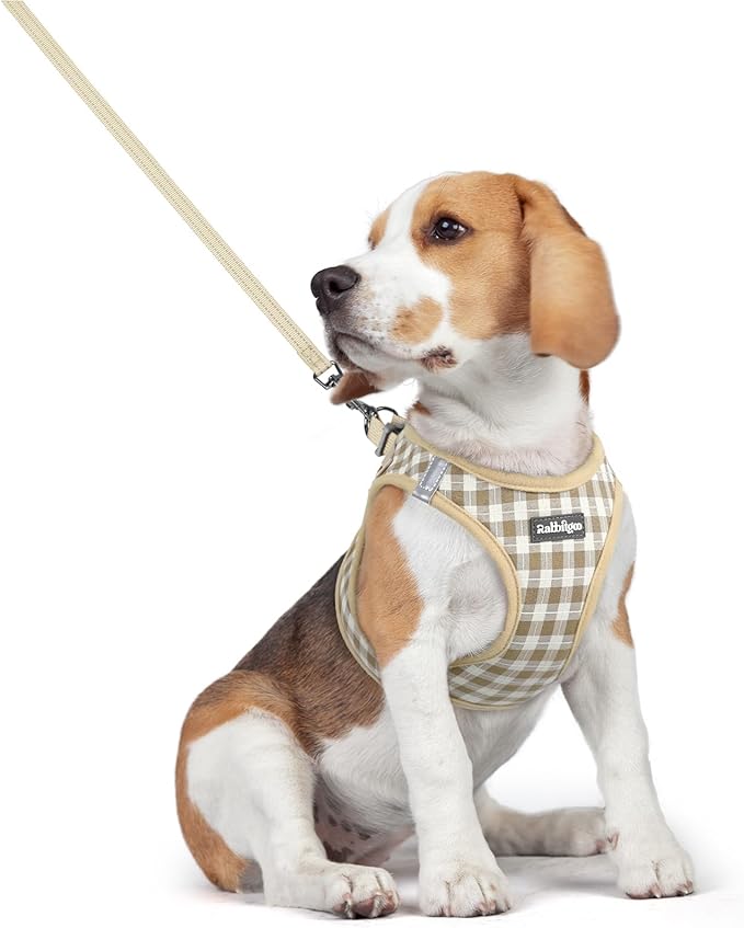 rabbitgoo Dog Harness Small Medium Sized and Leash Set, Step in Soft Light Puppy Vest, Breathable Mesh Pet Harness, Reflective for Safe Easy Walking, Beige Check L