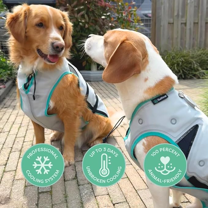 Suitical Dry Cooling Vest for Dogs | Canine Cooling Vest for Hot Weather | Dog Cool Down Jacket | Machine Washable | XS | Neck to Tail 10”- 14” | Chest 16-24” Around | Neck Circumference 14” | Silver