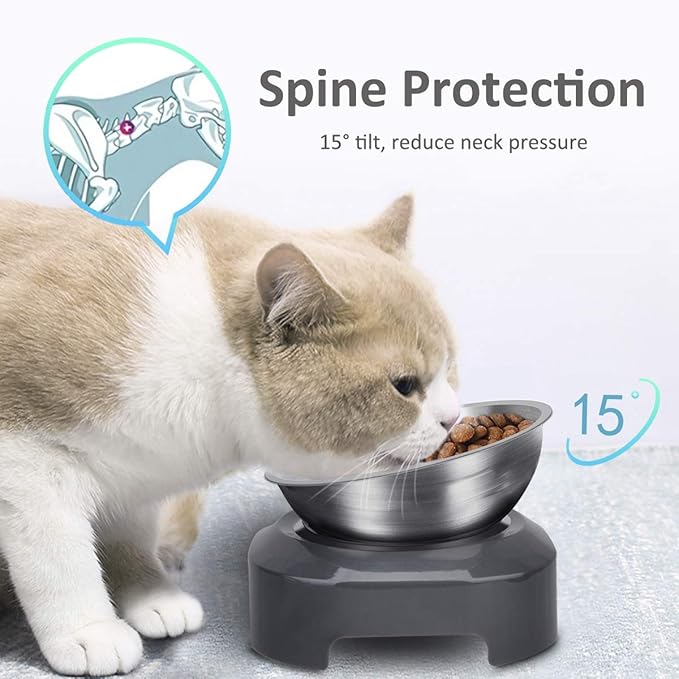 AYADA Raised Cat Food Bowl, Stainless Steel Cat Dish for Dry Wet Food Water, Anti Vomiting Elevated with Stand Ergonomic Lifted Slanted Tilted 15 Angle Metal Single Kitty Kitten Pet Bowl (Single)