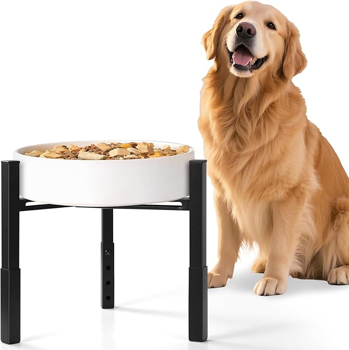 Dog Bowls Elevated, Adjustable Raised Dog Bowl Stand, Metal Elevated Dog Feeding Station for Medium & Large Dogs, Black (Without Bowls)
