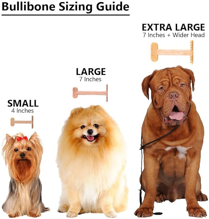 Bullibone Nylon Dog Chew Toy for Aggressive Chewers - Dental Hygiene Bone with Peanut Butter Flavor, Durable Tough Chew Toys for Large Dogs, Indestructible Dog Bone - 2 Pack
