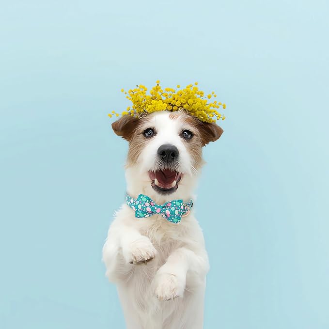 Lionet Paws Easter Dog Collar Bowtie, Adjustable Cotton Collar, Cute Dog Collar for Small Medium Large Dogs