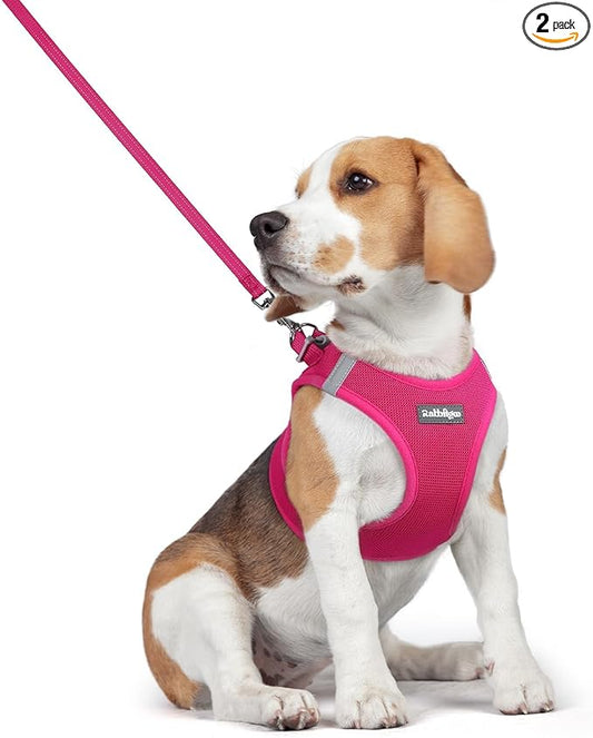 rabbitgoo Dog Harness Small Medium Sized and Leash Set, Step in Soft Light Puppy Vest, Breathable Mesh Pet Harness, Reflective for Safe Easy Walking, Rose Red L