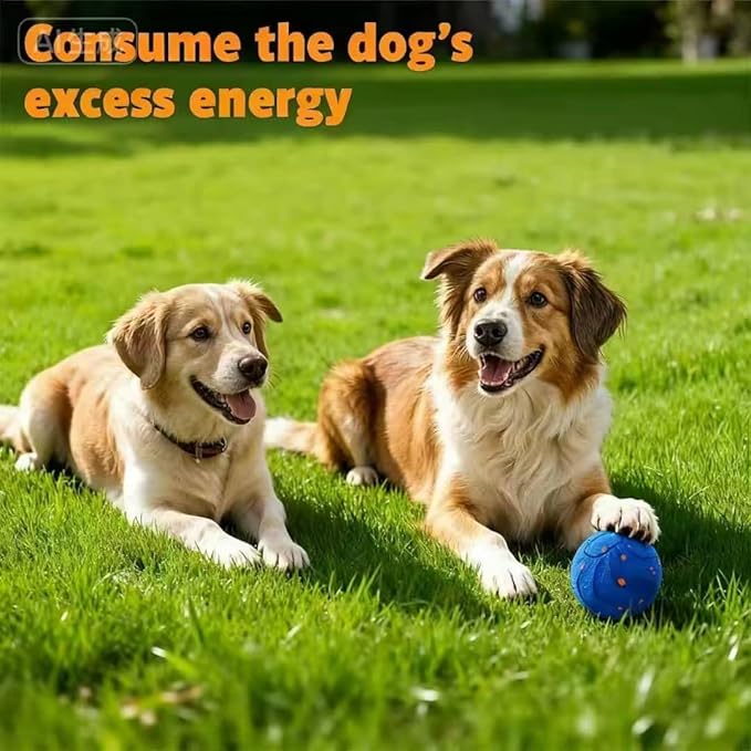 Interactive Dog Ball for Medium Dogs, Smart Automatic Rolling Ball for Dogs, Interactive Dog Toys & Enrichment Toy for Puppies and Active Dogs