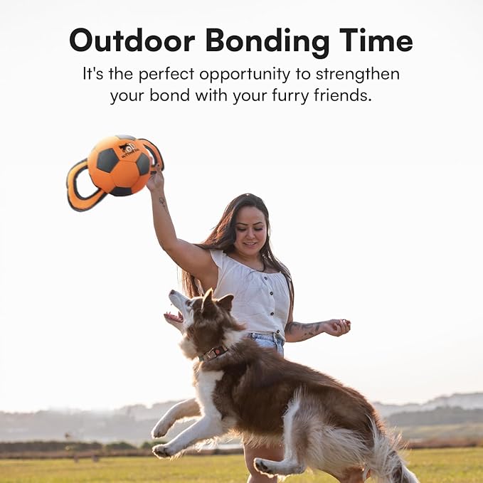 ALL FOR PAWS Ballistic Handle Ball Dog Toy with Squeaker, Interactive Handle Tug of War Ball Toy for Small Medium Large Dogs (Receive one of the Three Colors)