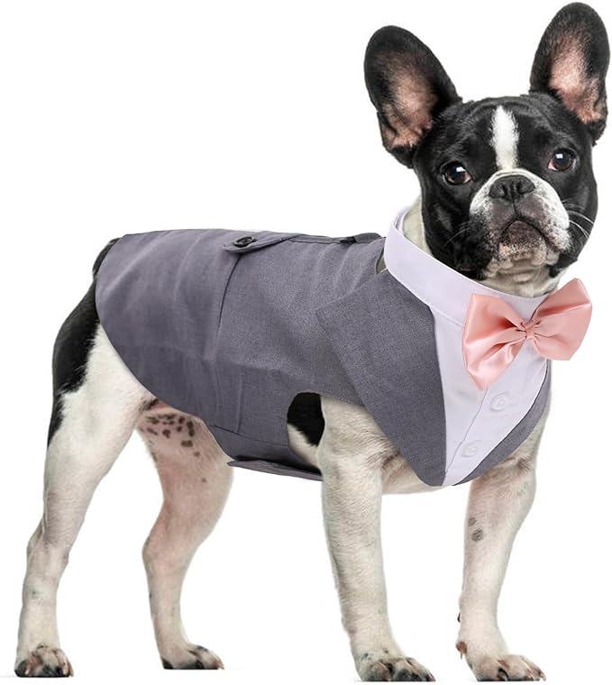 DORA BRIDAL Dog Tuxedo for Small Dogs,Dog Suit and Bowtie, Formal Dogs Wedding Outfit, Pet Tuxedo and Bandana Set Valentines Birthday Christmas Party Costumes for French Bulldog, Pomeranian, Grey, S