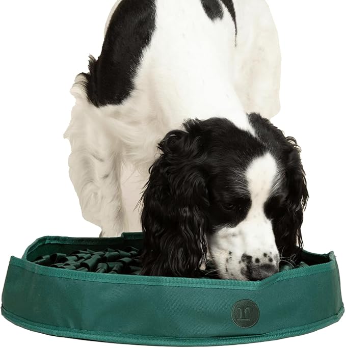 Reggie Snuffle Mat for Dogs, for Calming Support, Reducing Speed Eating, and Mental Stimulation, Durable & Easy to Clean Sniff Mat for Dogs, 20" Large Diameter, Dog Enrichment Toys, Hunter Green