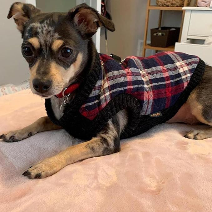Gooby Fashion Vest Check Dog Jacket - White Check, Large - Warm Zip Up Bomber Vest with Dual D Ring Leash - Winter Water Resistant Small Dog Sweater