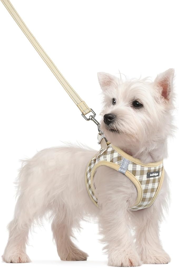 rabbitgoo Dog Harness Small Sized and Leash Set, Step in Soft Light Puppy Vest, Breathable Mesh Pet Harness, Reflective for Safe Easy Walking, Beige Plaid S