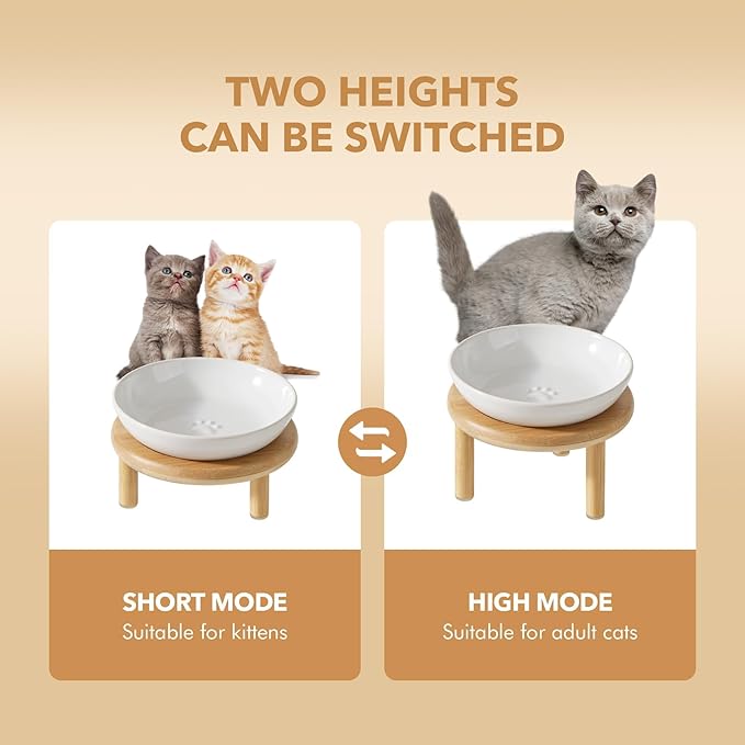 Havniva Elevated Cat Bowls Raised Ceramic Cat Bowl, 5.9” Wide Opening Cat Food Bowl Whisker Friendly Cat Dish Anti-Slip with Bamboo Stand, Shallow Pet Food & Water Bowl for Indoor Cats