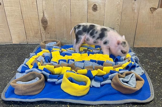 Piggy Poo and Crew Dichromatic Snuffle Foraging Mat for Dogs Perception of Color Enrichment Toy for Dogs Puppies Pigs Rabbits Cats Small Animals
