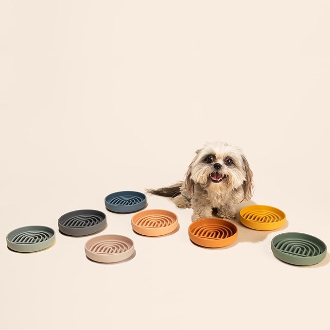 Should We Go? Slow Feeder for Dogs & Cats, The Slowdown Bowl Silicone Slow Eating Mealtime Solution with Modern Lick Mat Design, Reduces Gulping, Fits 1 Cup, 6” Across x 1.25” Tall, Small-Blush