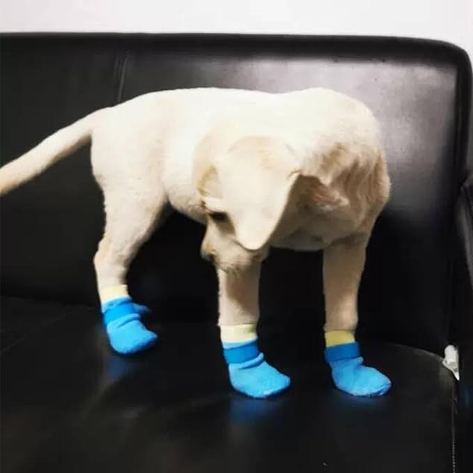 Dog Boots,Dog Paw Protectors Socks for Hot Pavement,Anti Slip Dog Shoes for Hardwood Floors_S(Blue)