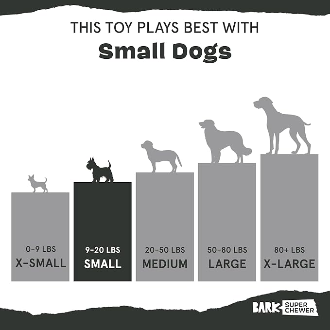 Barkbox Munchie The Bear Dog Toy for Treat Dispensing and Bouncing for Dogs up to 20 lbs, Small