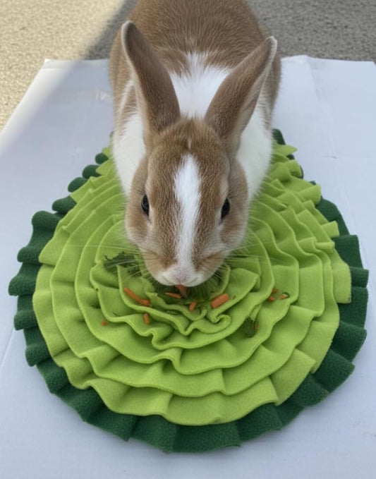 A Pair of Avocado Style Washable Anti Slip,Green Tough Feeding mat for Dogs, Pets Food Puzzles, pet Sniffing Foraging Snuffle mat