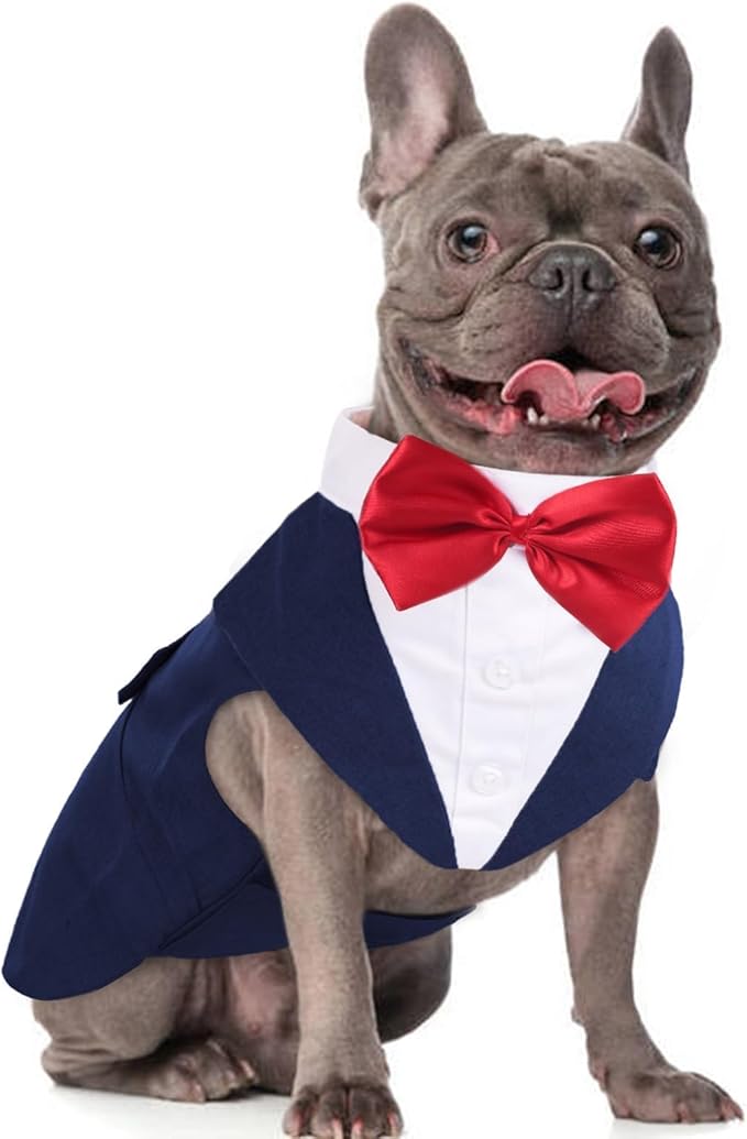 DORA BRIDAL Dog Tuxedo for Medium Dogs, Dog Suit and Bowtie, Formal Dogs Wedding Outfit, Pet Tuxedo and Bandana Set Valentines Birthday Costumes for French Bulldog, Pomeranian, Dachshund, Blue, M