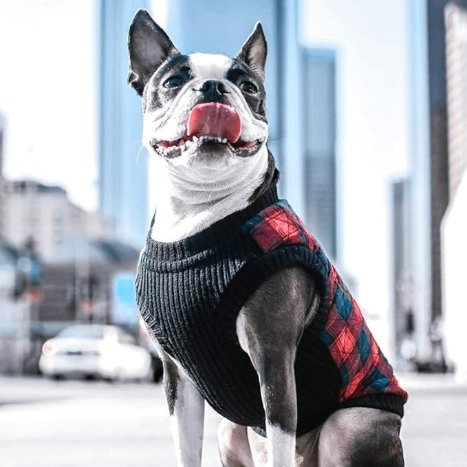 Gooby Fashion Vest Check Dog Jacket - Red Check, Small - Warm Zip Up Bomber Vest with Dual D Ring Leash - Winter Water Resistant Small Dog Sweater