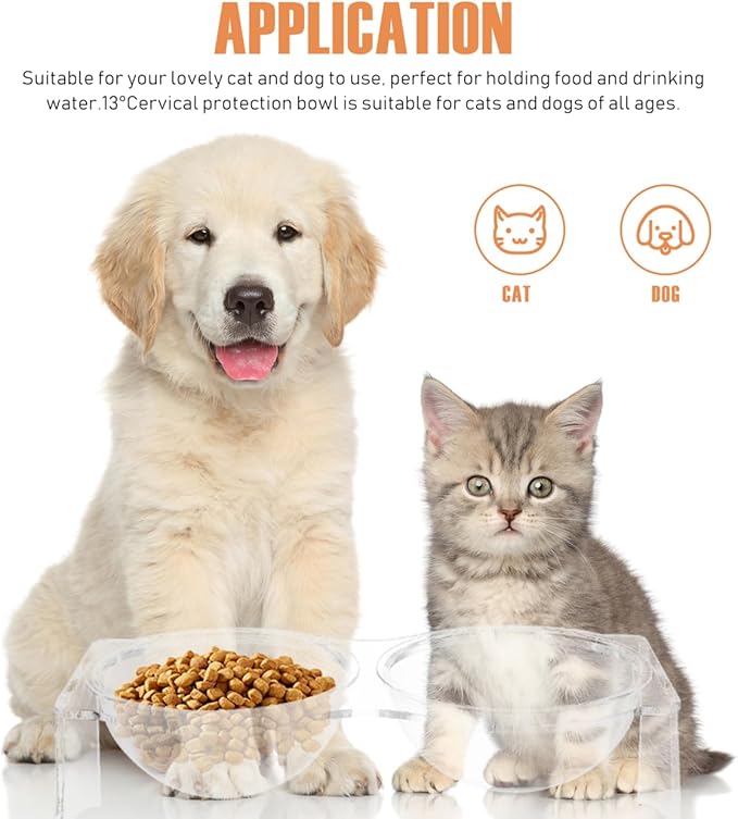 TOYANDONA Acrylic Double Bowl Pet Food and Water Dish Elevated Cat Puppy Drinking Bowl Indoor Kitten Feeding Station 11.81X6.69X3.74In Easy to Clean Stable Base